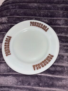 Vintage Ponderosa 6.25” Pyrex plate